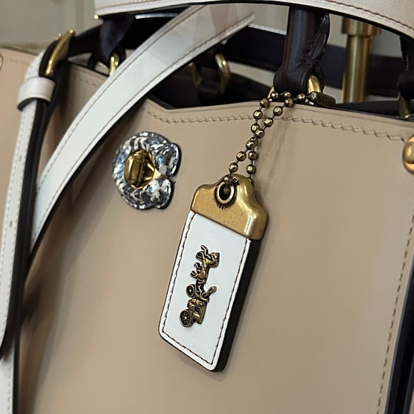 COACH 1941 Mason Carryall Colorblock Satchel in Beechwood w/Snakeskin Detail - Picture 4 of 16